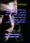 وحید ضیائ  / شعر های تازه