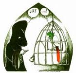 چند طرح از کاوه عادل