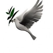                                                     نامه به غضنفر                                                                            