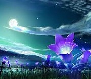 پشیمانی/ رضا بی شتاب