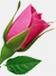 گفته های نغز
