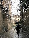 نمی خواهم بترسم /  همت
